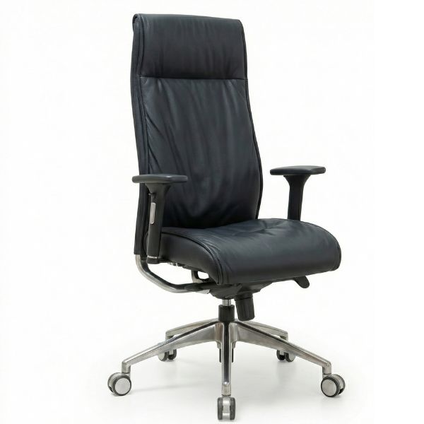 ככסא מנהלים לישיבה ממושכת דגם נשיא מגיע מורכב | קפרה Kapra