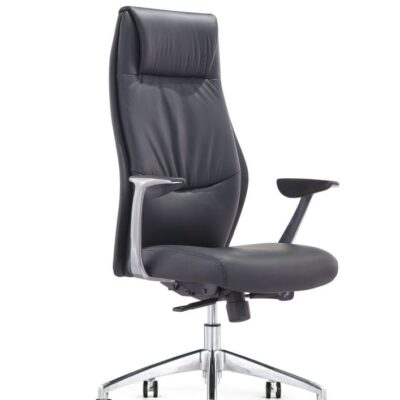 כסא מנהלים רוני אריקסן